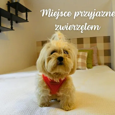 Muszynka 게스트하우스 3*
