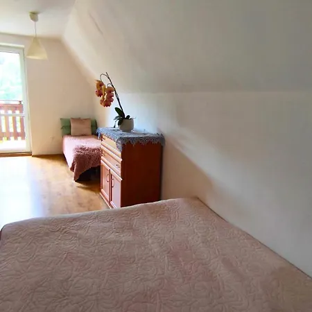 ゲストハウス Muszynka