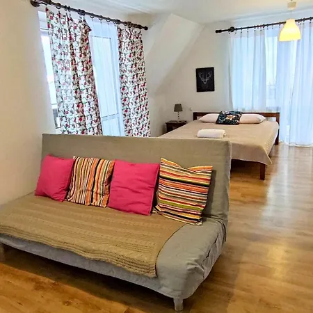 Muszynka ゲストハウス ムシナ